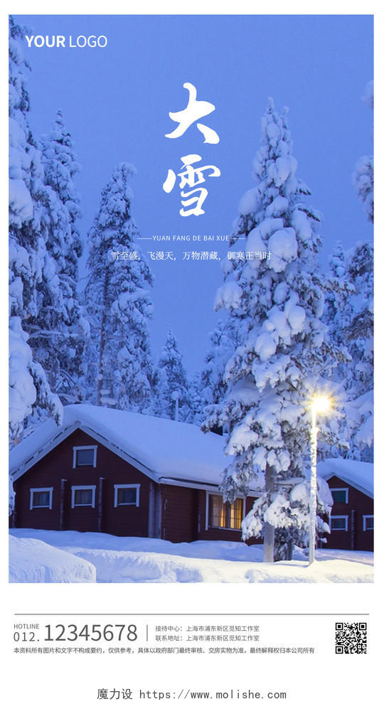 蓝色时尚文艺大气大雪节气寒冬海报大雪手机海报